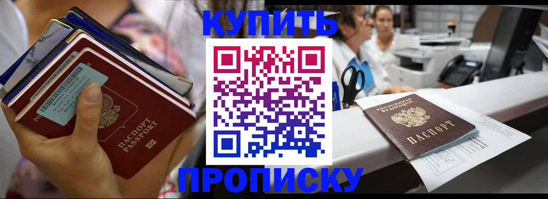прописка для школы в Новгородской области